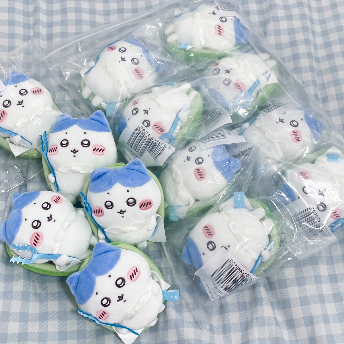 8warechan_'s tweet photo. ツイートするの遅くなっちゃったけど自引き0なのに交換とお譲りしてもらえて12ピーマンお迎えできました🥲🫑いつもピーマンのお声がけありがとうございます😭💫幸 https://t.co/YMkaFPkcrZ