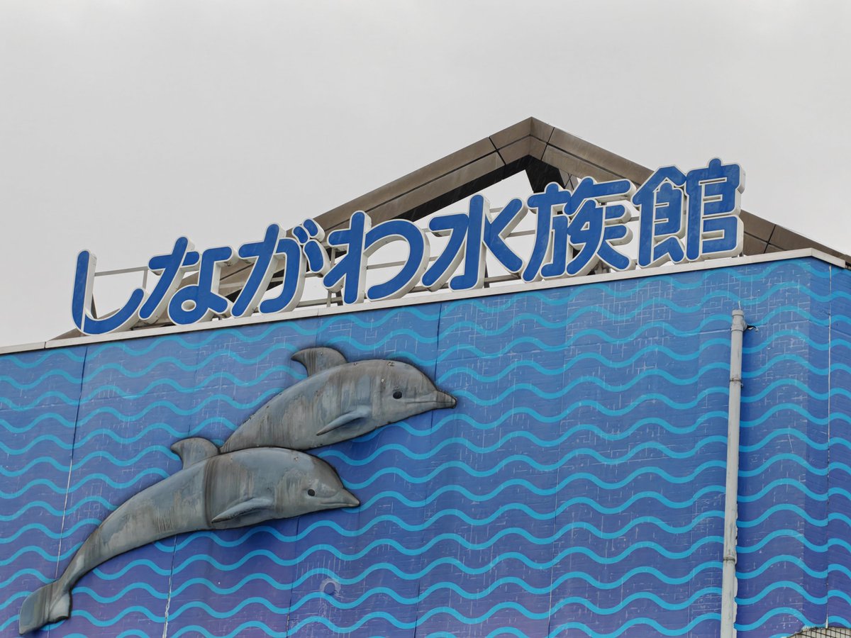 Altdeus's tweet photo. 今日はしながわ水族館へ
帰りにLABI寄ったら、まさかのARIA姉妹発見！ https://t.co/1vc0pk3FfC