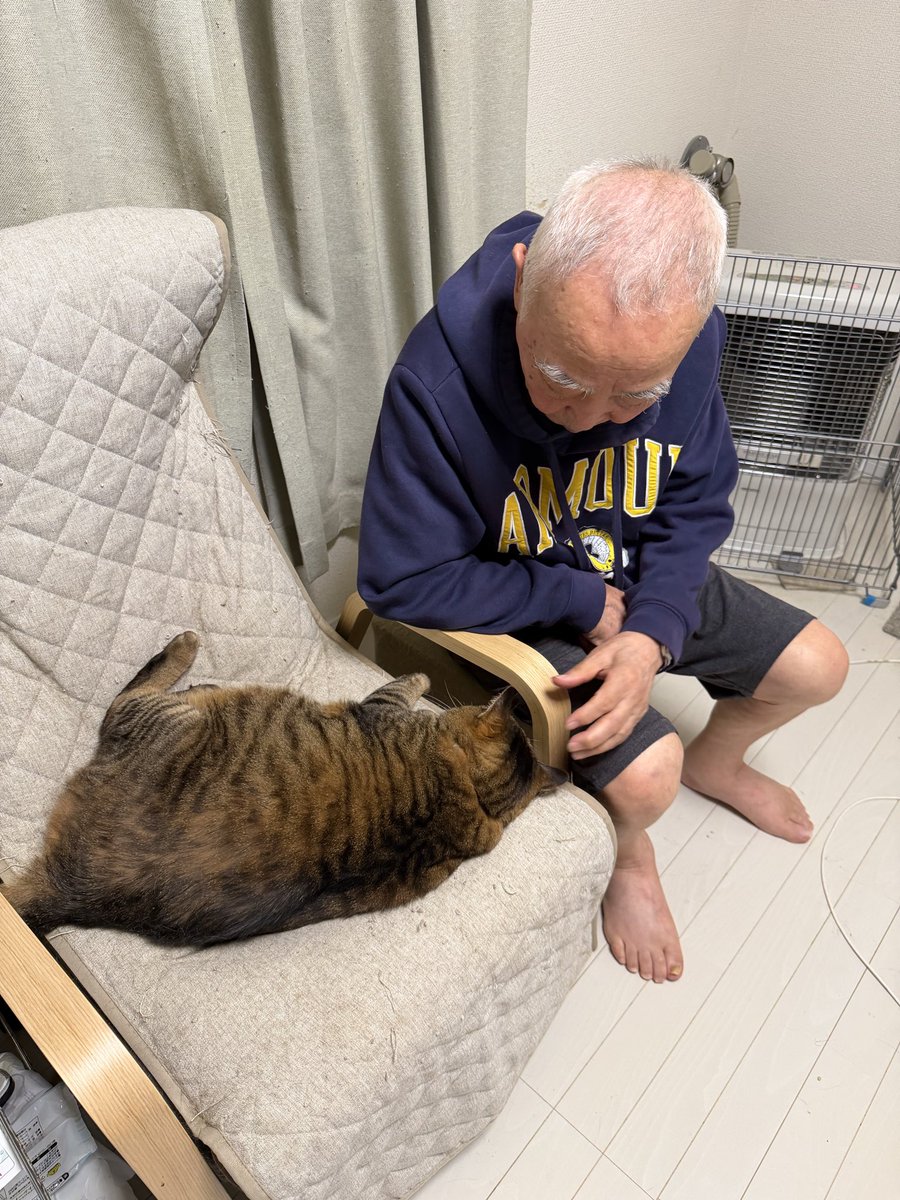 pomjirou's tweet photo. 父親用に買った椅子に寝る猫と、猫用に用意した椅子に座る父。またお猫さまな日々が始まった。 https://t.co/u6kP9fgiLw