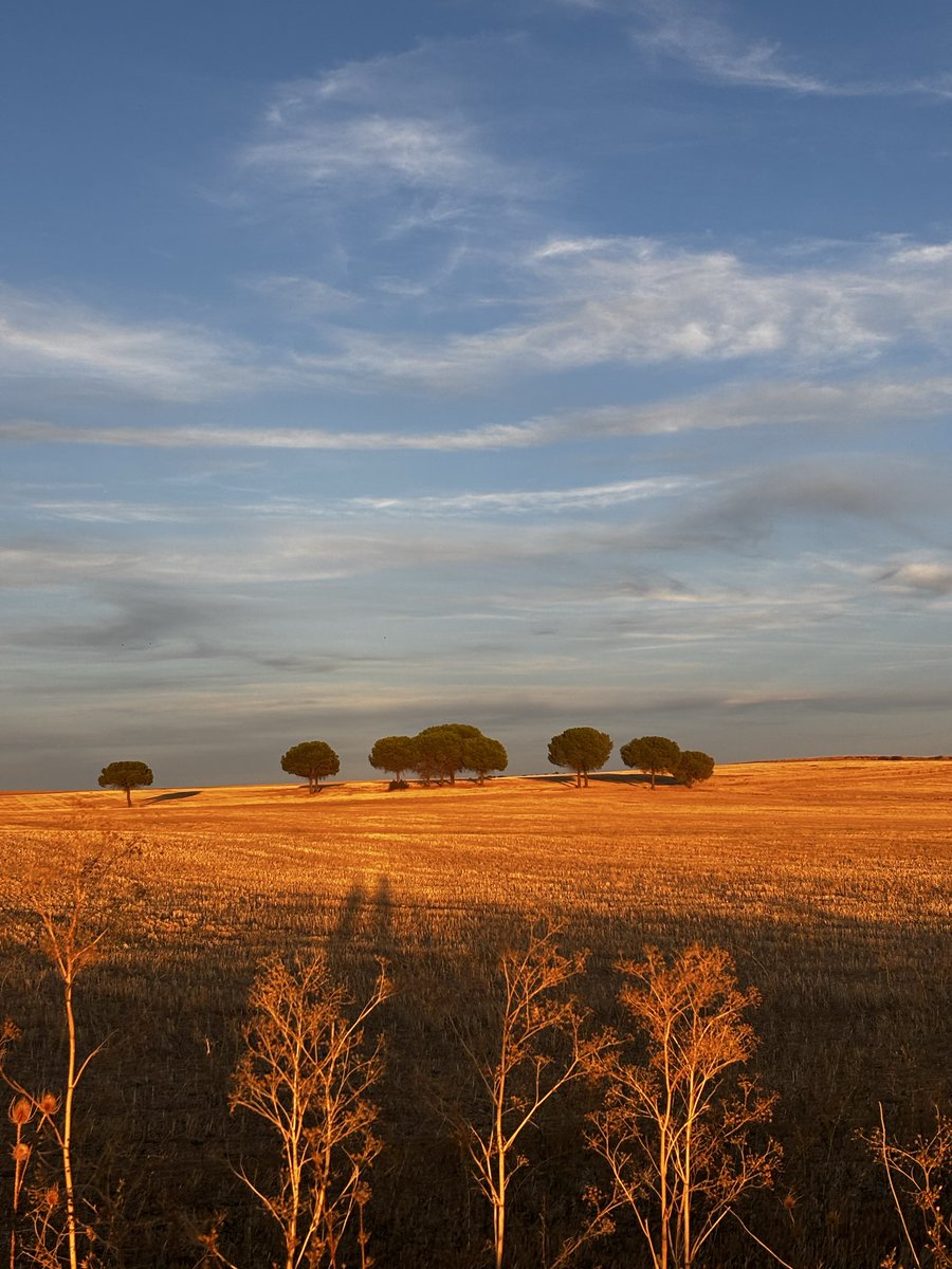 _curcue_'s tweet photo. los atardeceres en septiembre tienen una luz especial https://t.co/Gj2PJUJ0MV
