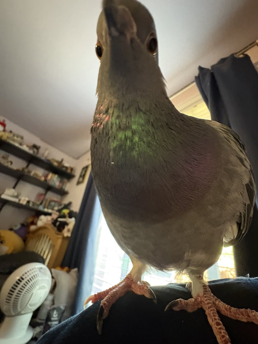 notSIug's tweet photo. really really really big fan of when his eyes look like this https://t.co/VOmIs4uD67