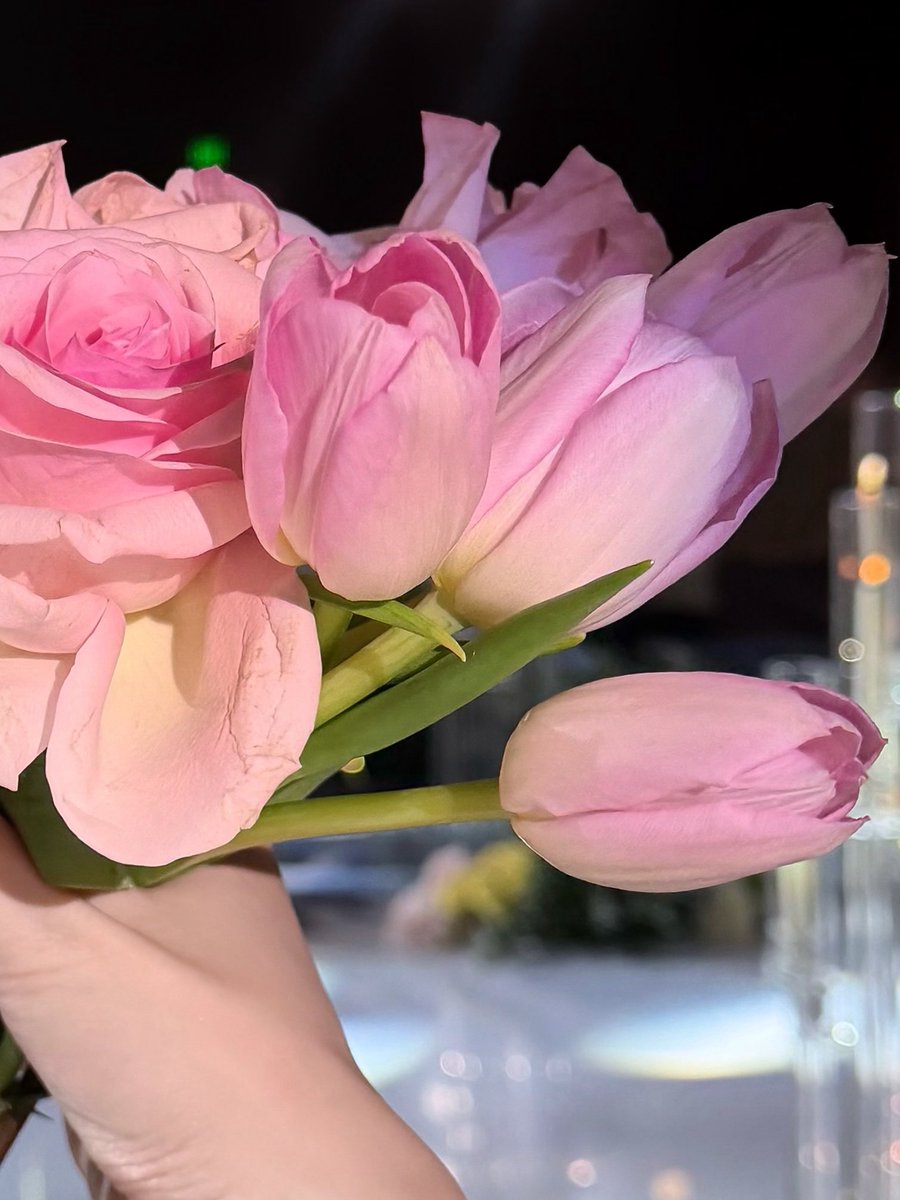 _nicoleyabut's tweet photo. 🌷 https://t.co/BW99lxqHTP