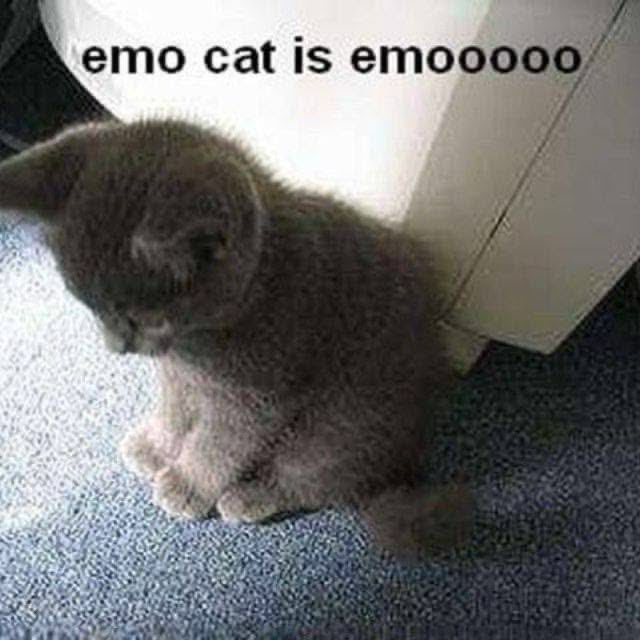 xeravn's tweet photo. @_leftmecold https://t.co/T8pS7g7oz0