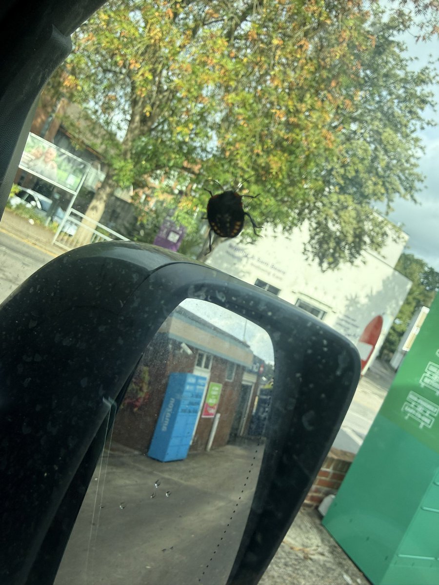 swithers78's tweet photo. Had a passenger this morning https://t.co/loCbBLf8wu