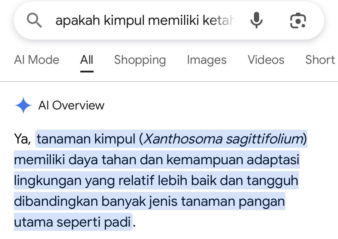 nonverie's tweet photo. @RafayelSunda kak maybe kimpul is much better karna dia umbi, salah satu tanaman yg cukup adaptif &amp; kuat dibanding tanaman pangan lain HEHEHE TMI maaf https://t.co/MusAwFUb09