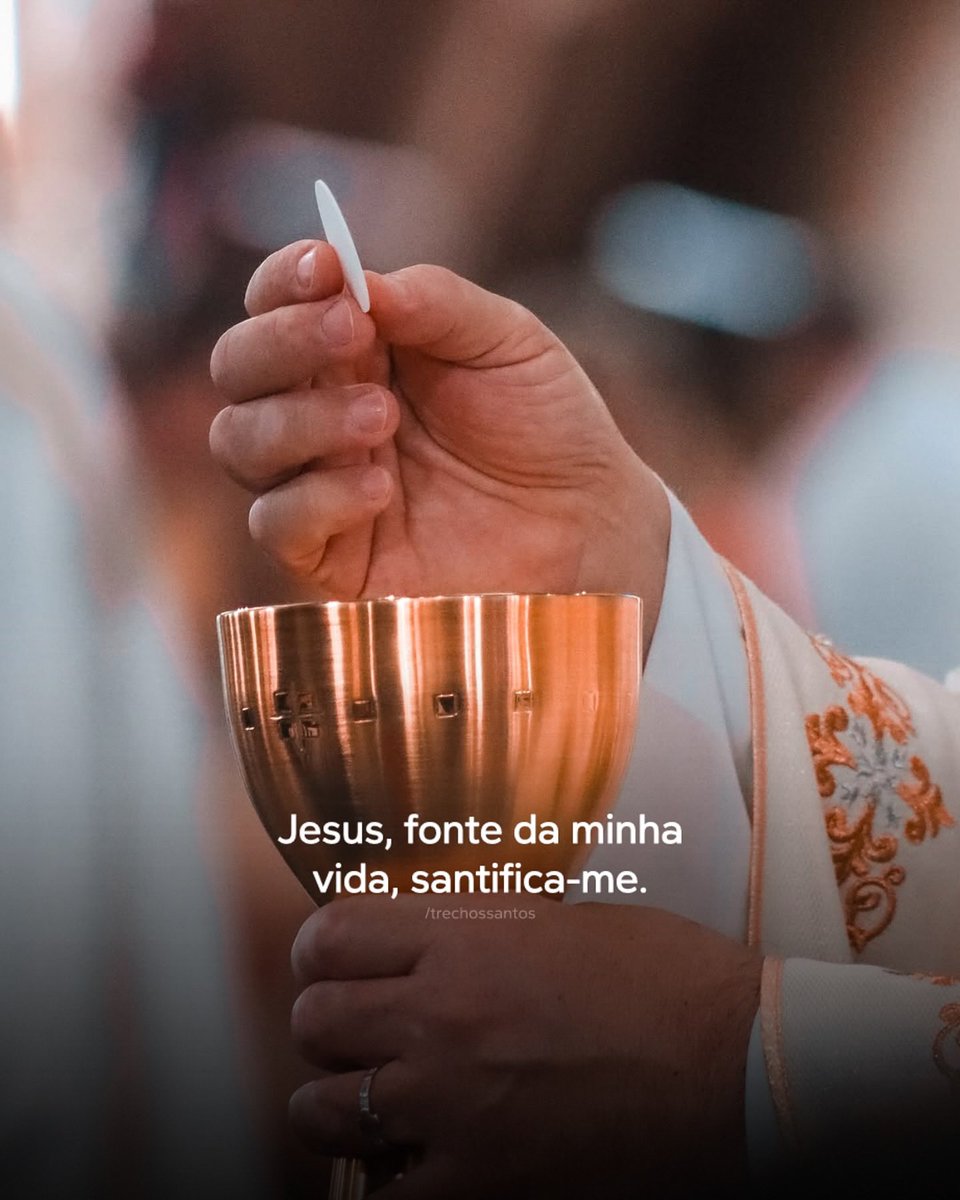 trechossantos_'s tweet photo. Jesus Eucarístico, fonte da minha vida e alimento da minha alma, fortalece minha fé, renova meu coração. Que a Tua presença me conduza pelos caminhos do amor e santidade.

Permanece comigo hoje e sempre. Amém. 🙏🏼 https://t.co/s6suKoFeTh