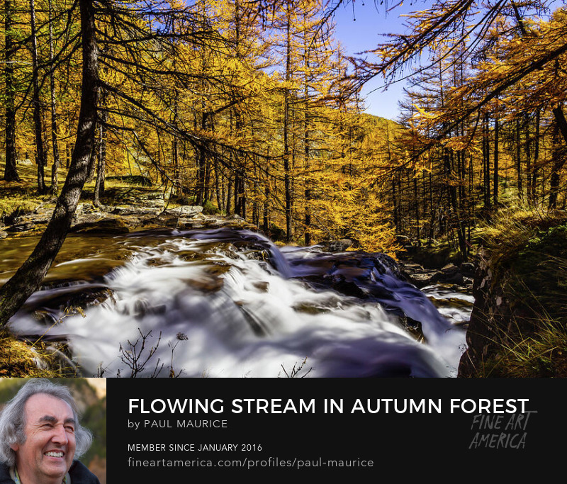 apollo0300's tweet photo. Flowing Stream in Autumn Forest
https://t.co/WMwniddsbq
#Autumn #Wagterfall #Claree #FrenchAlps #HautesAlpes #ColorsofFall #PaulCMaurice https://t.co/QObQFRNy7H