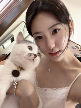 AlexHarris9r31's tweet photo. 终于可以回家撸猫了...... https://t.co/ieDXZXsN38