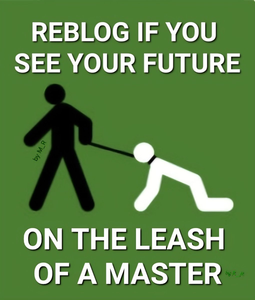 MasterR1534776's tweet photo. Do it! https://t.co/urhMzw0dWX