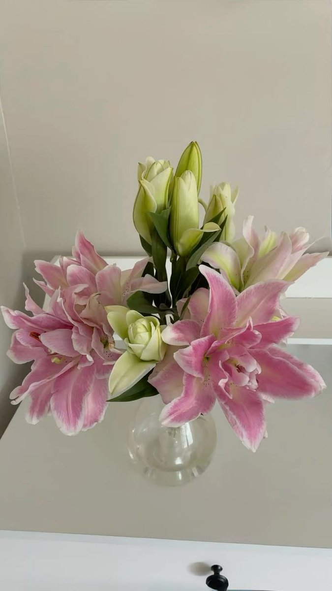 Narutospotlight's tweet photo. https://t.co/ulf6Li7Jpk