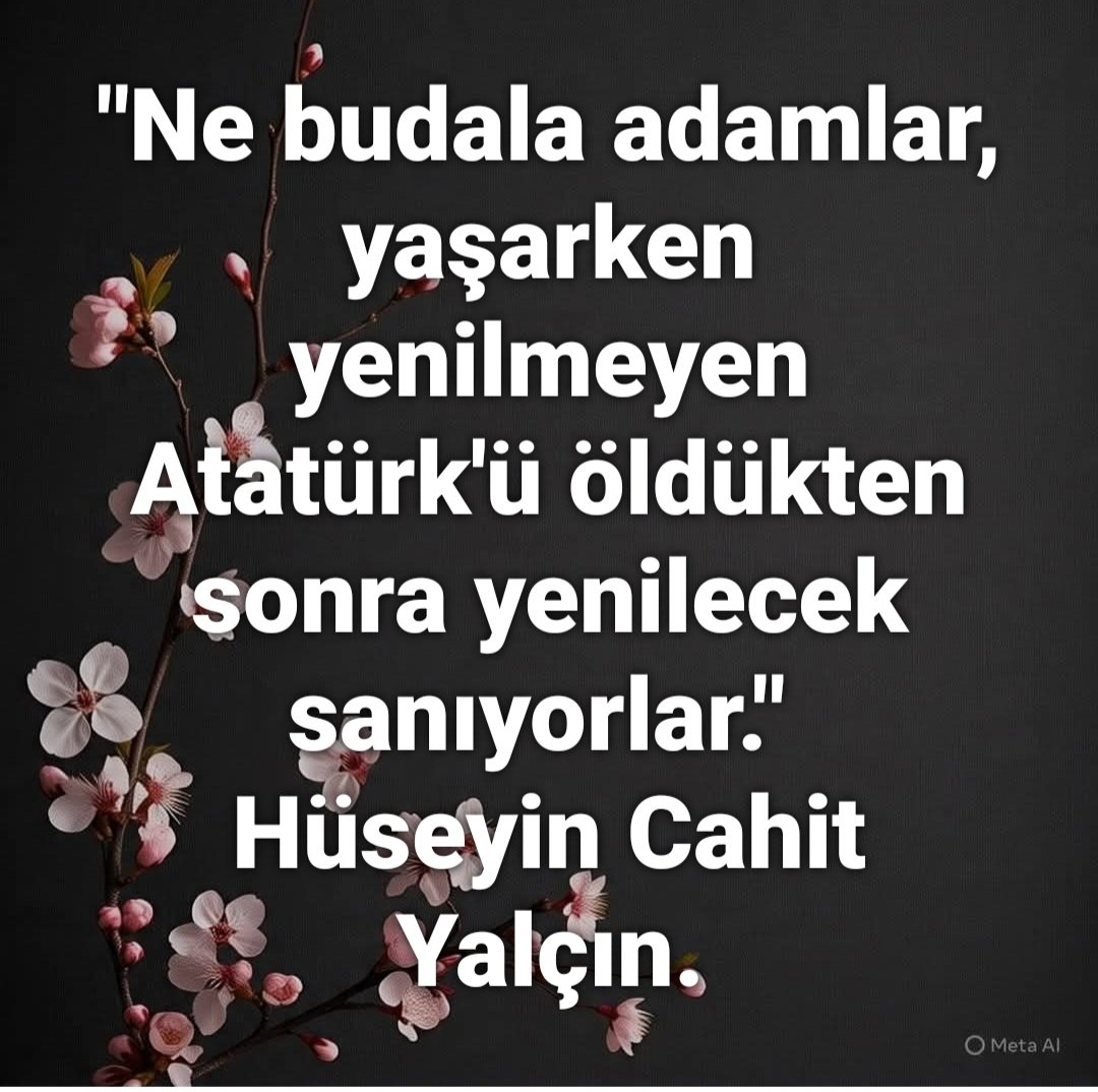 hergunlu's tweet photo. #Atatürk https://t.co/Sw4edeu2l4