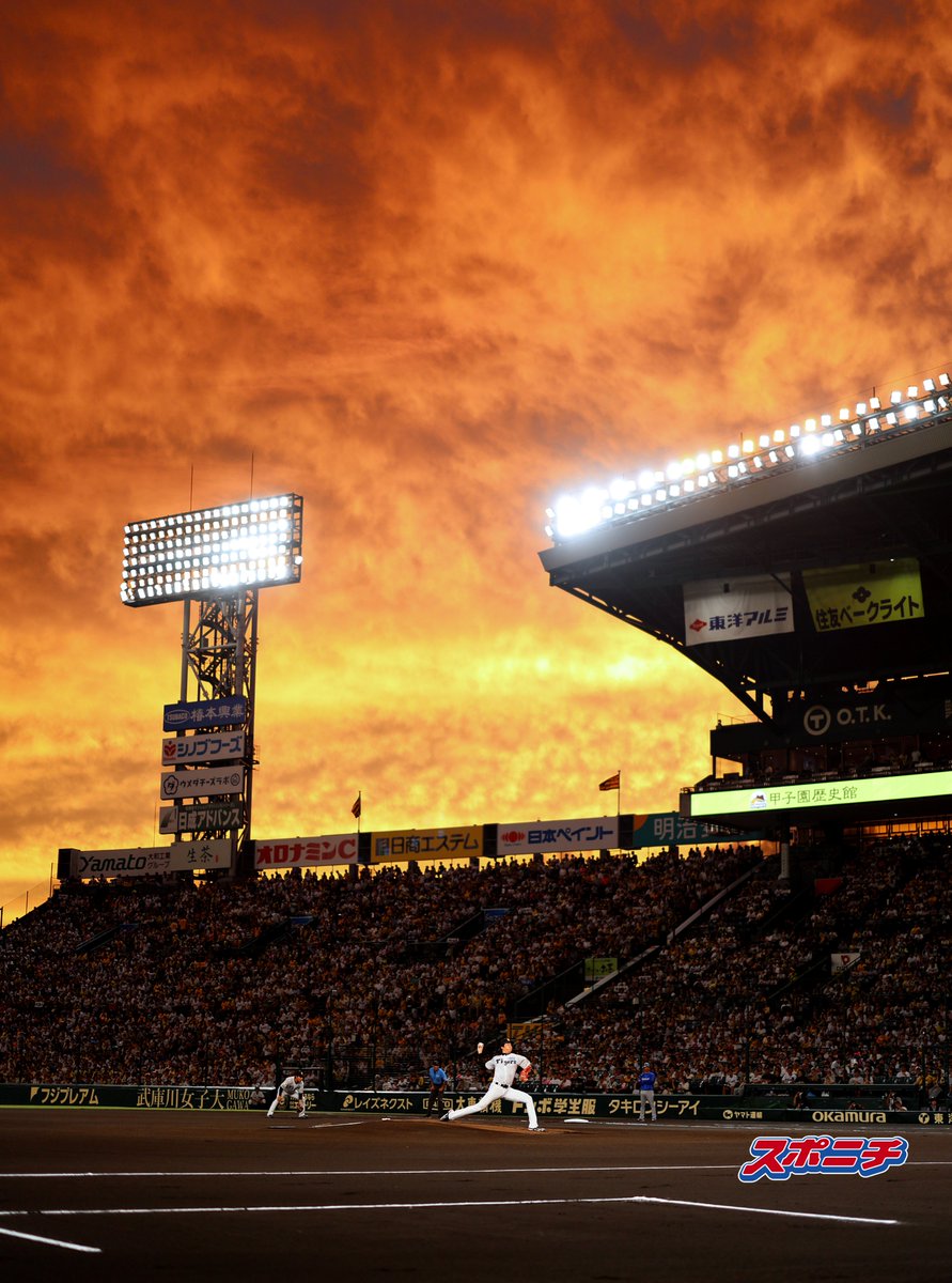 Sponichi_Tphoto's tweet photo. この試合に賭ける思いが表れたような、燃える空の下で力投する #才木浩人 投手。 https://t.co/CNAnQYfKdc