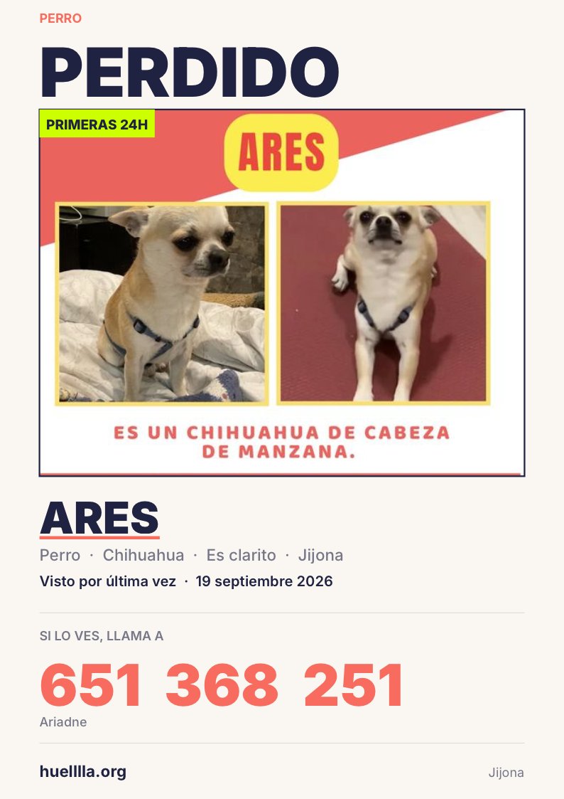 huelllla's tweet photo. URGENTE: Ares está perdido en #Jijona #Alicante. Buscamos a este perrito chihuahua de color clarito. Desapareció el 19/09/2026. Sabes algo de él? Lo has visto? https://t.co/nTovQ3HgZa https://t.co/283Mc2vfgJ