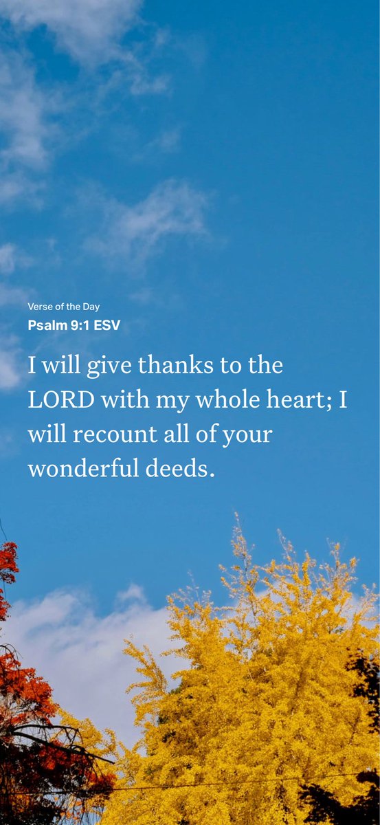 geocookmile's tweet photo. Good Morning and Have a Blessed Sunday Everyone https://t.co/mTiLSK4xZg