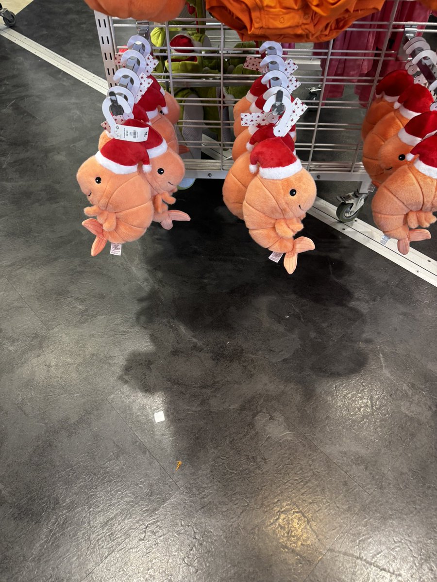 Moimoimochie's tweet photo. No editing for me since I feel poop but atleast I got to see the Christmas skrimp https://t.co/Pw315IauBs