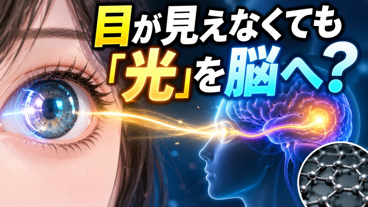 kanako_science's tweet photo. おもしろそうな研究があったので急遽動画を作ってみました～
新しい人工網膜で、見えるようにしようとする研究です
https://t.co/WTNNRBoe0z

#youtube #人工網膜 https://t.co/8FRldOBhdq