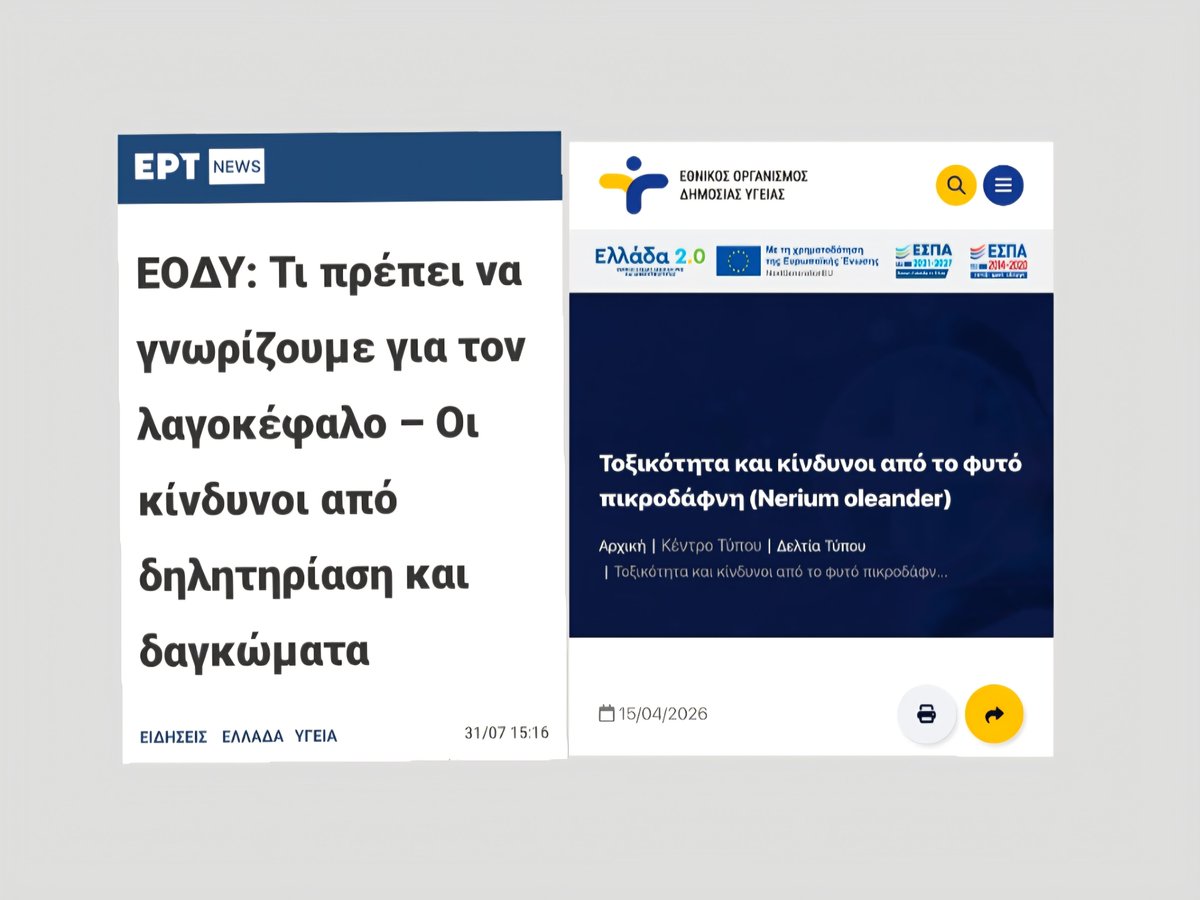 PGPapanikolaou tweet picture