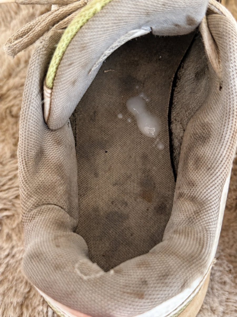 Step2Brothers's tweet photo. Rehoming my old sneakers to 
a good home 🔥👟 Who’s gonna
take really good care of them? 

https://t.co/t0DOhySdpO https://t.co/BJHTOtf558