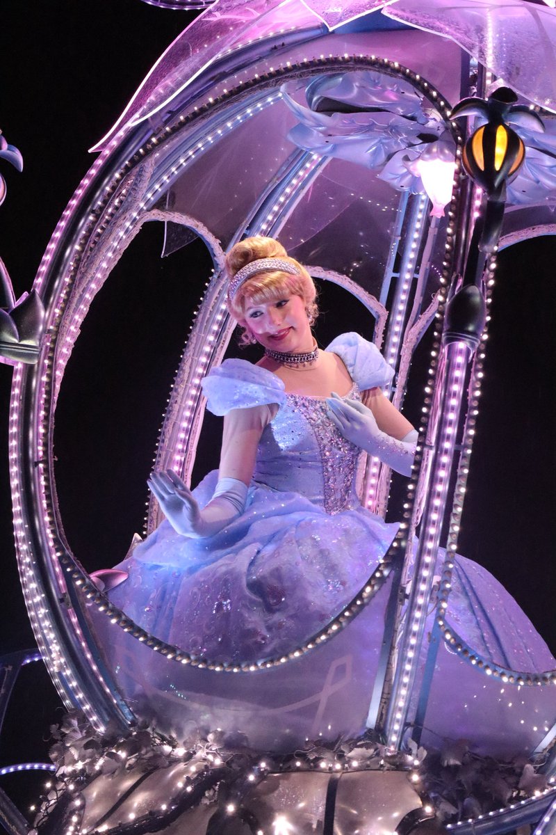 dis1928ney's tweet photo. 2026.01.09  "Private Evening Party" Report🏰

✨TOKYO DISNEYLAND 
                   ELECTRICAL PARADE
                                           DREAMLIGHTS✨

                   ~Disney Princess~ https://t.co/LzOesGjs1a