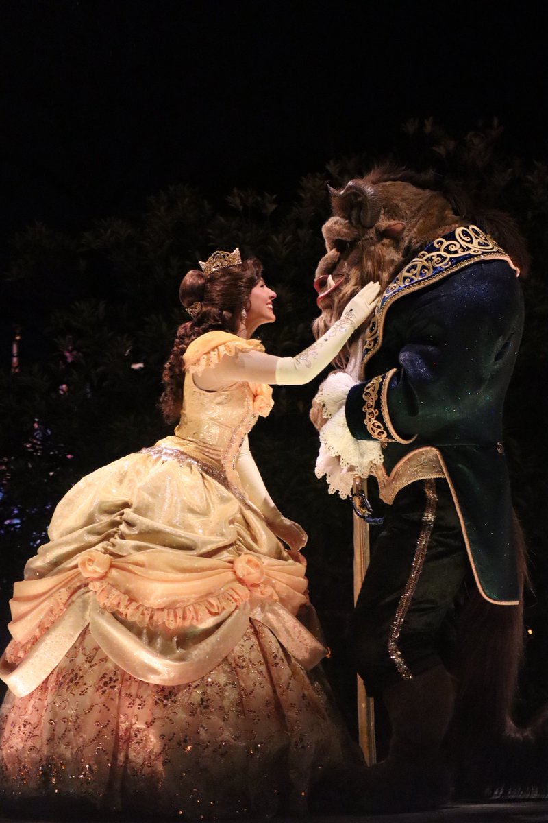 dis1928ney's tweet photo. 2026.01.09  "Private Evening Party" Report🏰

✨TOKYO DISNEYLAND 
                   ELECTRICAL PARADE
                                           DREAMLIGHTS✨

                   ~Disney Princess~ https://t.co/LzOesGjs1a