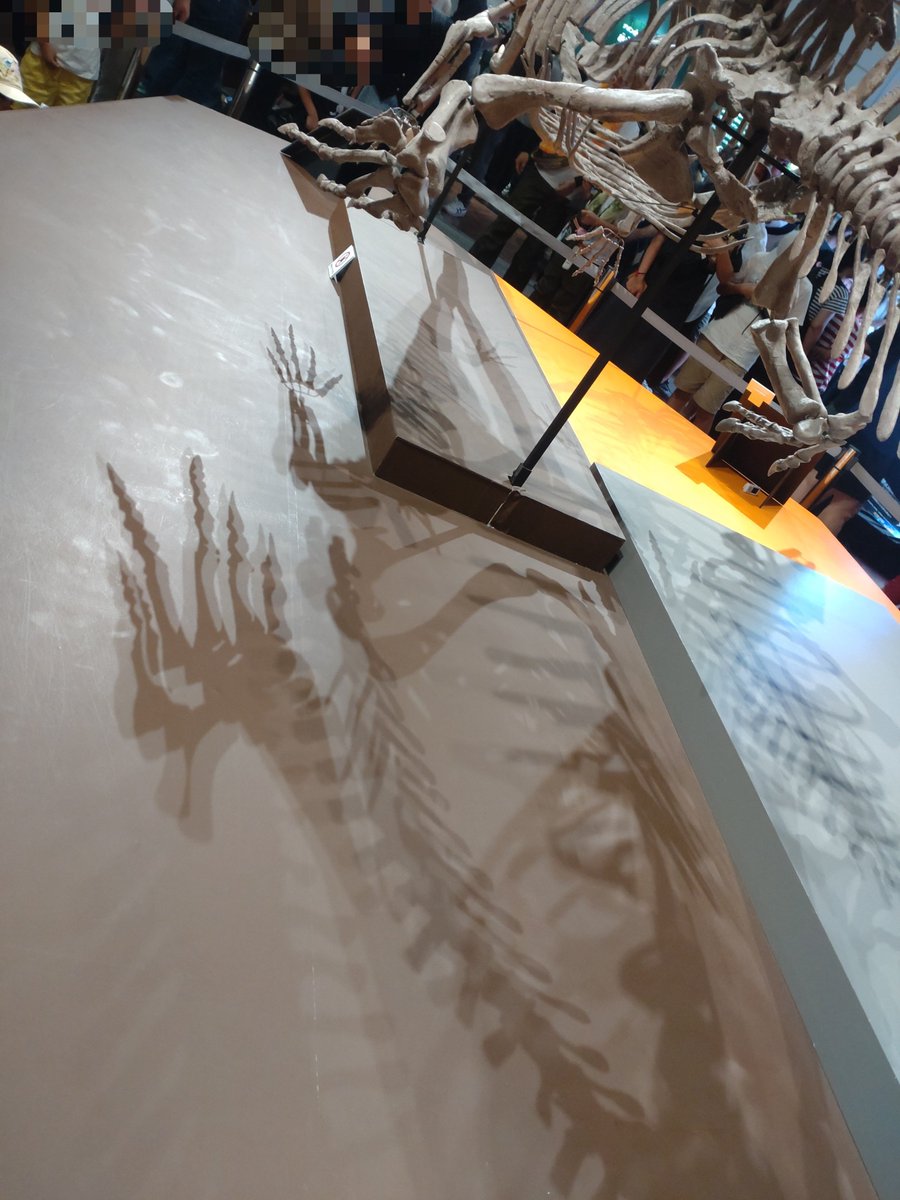 oksta7's tweet photo. 【鑑賞】「大絶滅展」@ 大阪市立自然史博物館。
わたしには予習復習が必要な内容だったが、「ノー勉」で観ても大変興味深かった。
昨年訪れた年縞博物館のおかげで掘削コア試料に興奮。

人類滅亡後、次に現れる知能の高い生命体も、地層や化石から我々の数多の愚行を読み解いてくれるのだろう。 https://t.co/zfpZLDxgOb