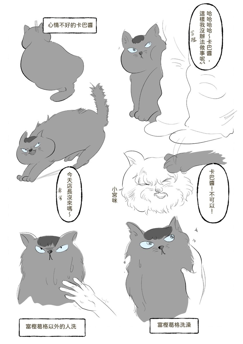 tzang0326's tweet photo. カバちゃん2 https://t.co/cAnMrmWrKY