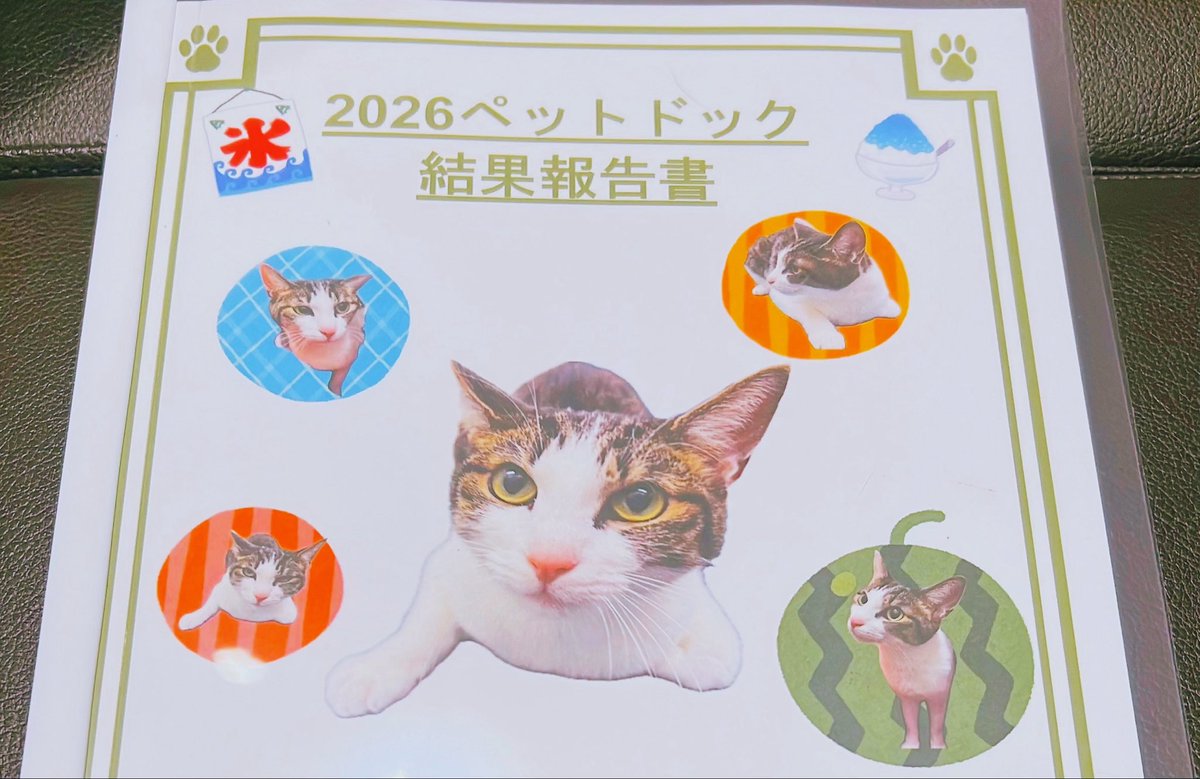 shimazakiaikaa's tweet photo. 愛猫の健康診断結果を聞いてきました！フェレットでお世話になっていた病院から変更したので今の病院の院長先生のことあまり知らなくて、小さい声だけど項目一つ一つ40分くらいかけて説明してくれて動物の話になると饒舌で声が大きくなるし動物は好きな先生なんだなと伝わってきた。健康！ということで安心しました。表紙かわいい。腫瘍マーカーとかもついてて飼い主より良い検査受けてんだよなぁー元気で長生きしてね