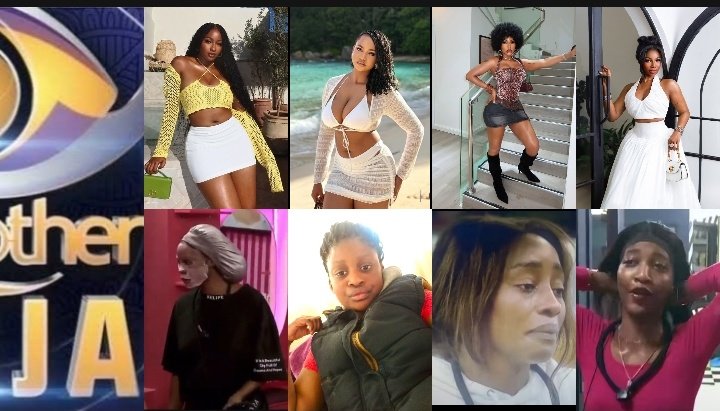 6iixfoot's tweet photo. BBNaija used to give us KimOprah, Victoria, Mercy and Tacha… now it’s Flora, Temi, Sheba and Bluethopia. 😭

From “Who is she?!” to “Wait, is she a housemate?” 

At this point, I’m auditioning next year. The bar is clearly on annual leave. 🤣

#Bbnaija https://t.co/JlfFQdHd5n