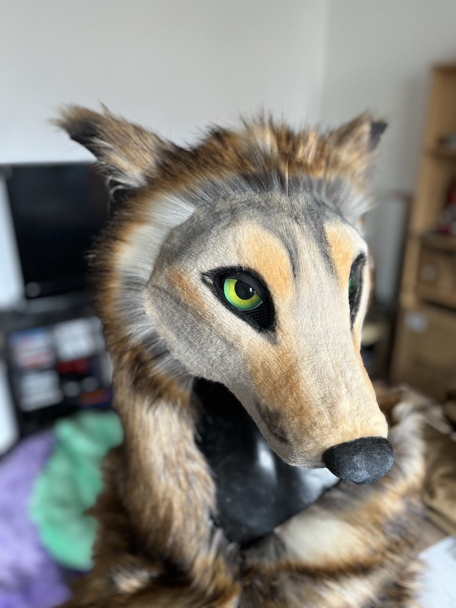 DTCFursuits's tweet photo. @galianogangster Mine are completely sewn https://t.co/BmHQoXtzR7