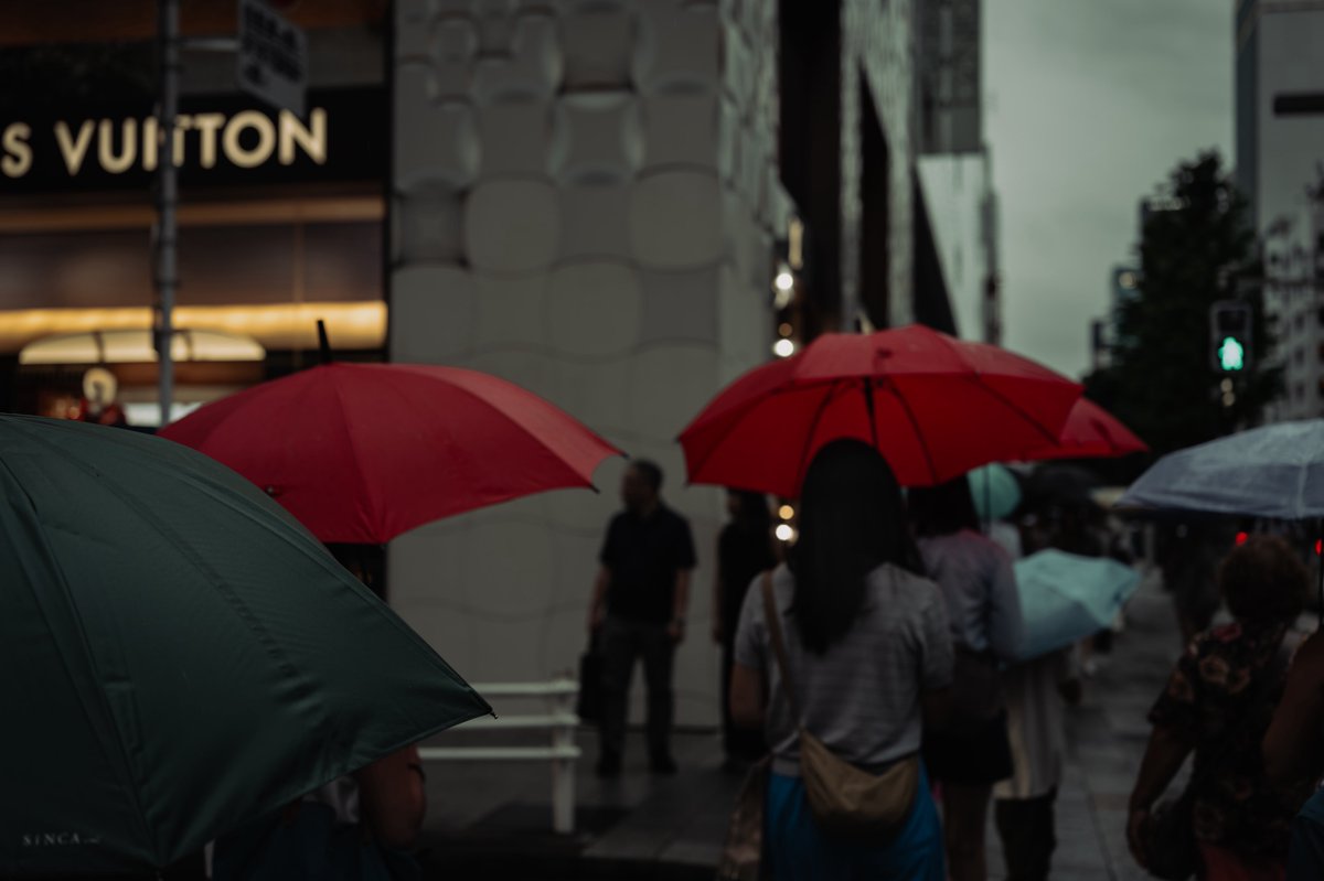nerosphoto's tweet photo. Rain Veil https://t.co/5zPjBNJUTO