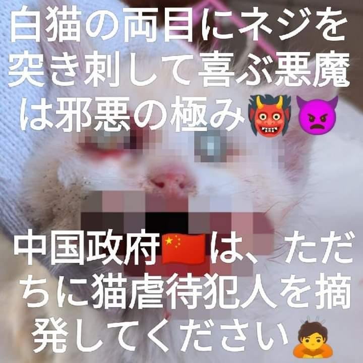 HgPZKypleR61580's tweet photo. 🔵🔴アウトリーチ活動のお誘い🔴🔵

🇨🇳に猫として生まれただけで
卑怯なゴミクズの小銭儲けの為に
想像を絶する痛みを長時間与えられ
56されゴミの様に捨てられる

この子達の声になって下さい‼️
是非‼️参加お願いします‼️

🟡参加希望の方
Catally229 @dignityofanimal迄
DM連絡お願いします🙇 https://t.co/uaIN8YnZJy