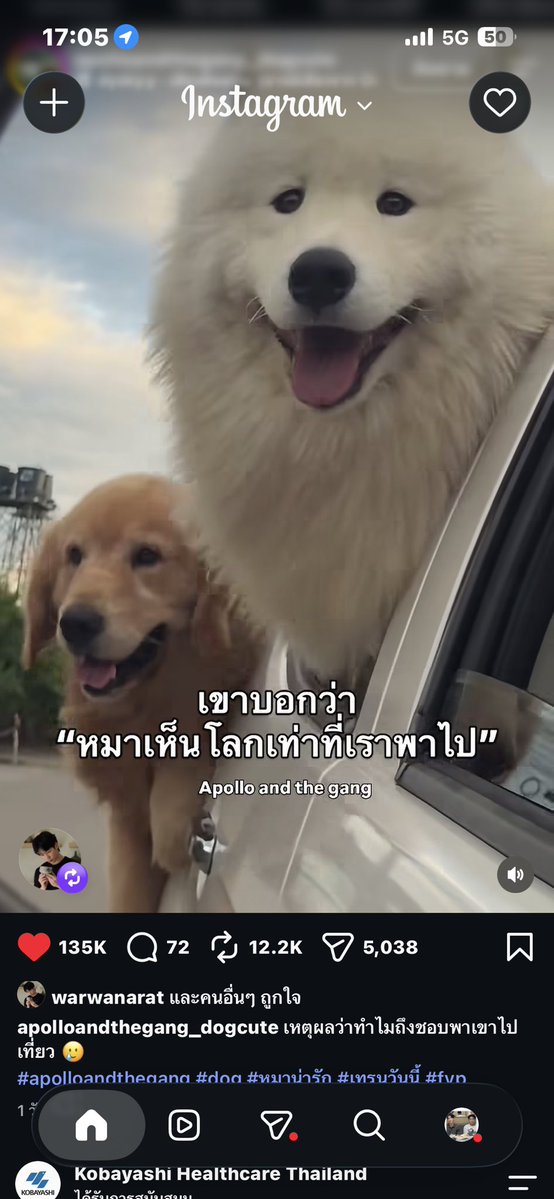 pxjxyz's tweet photo. เม่อต้องเป็นหมาที่โชคดีมากๆแน่ๆเม่อรักป๊าเท่าโลกเลยดูป๊ารักเม่อสิ🥺🥺🥺 @warwanarat  #warwanarat #sammerbcollie https://t.co/3LByqJnXxw