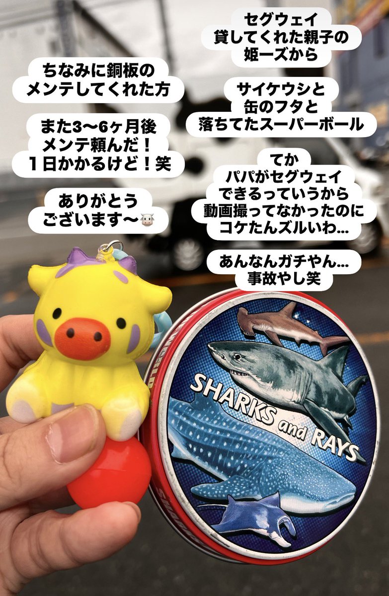 kotobukitchen's tweet photo. セグウェイ使わせてもろた

僕はめちゃくちゃ上手に乗れたで！ https://t.co/y4Azun8a6v