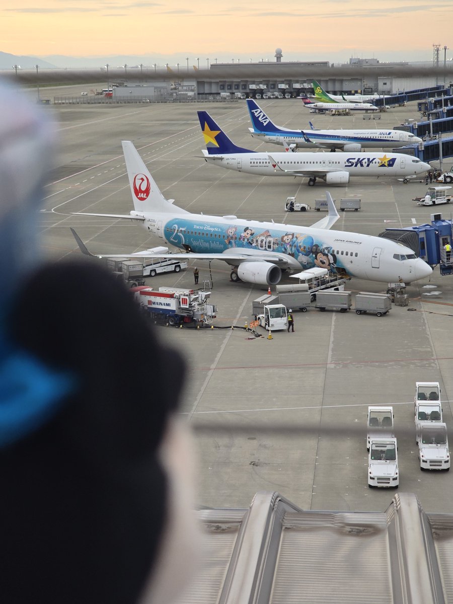 sawako_duffy's tweet photo. ディズニーラッピング飛行機✈️
上海&amp;ジュビリー💎 https://t.co/0JpCkGMtiT