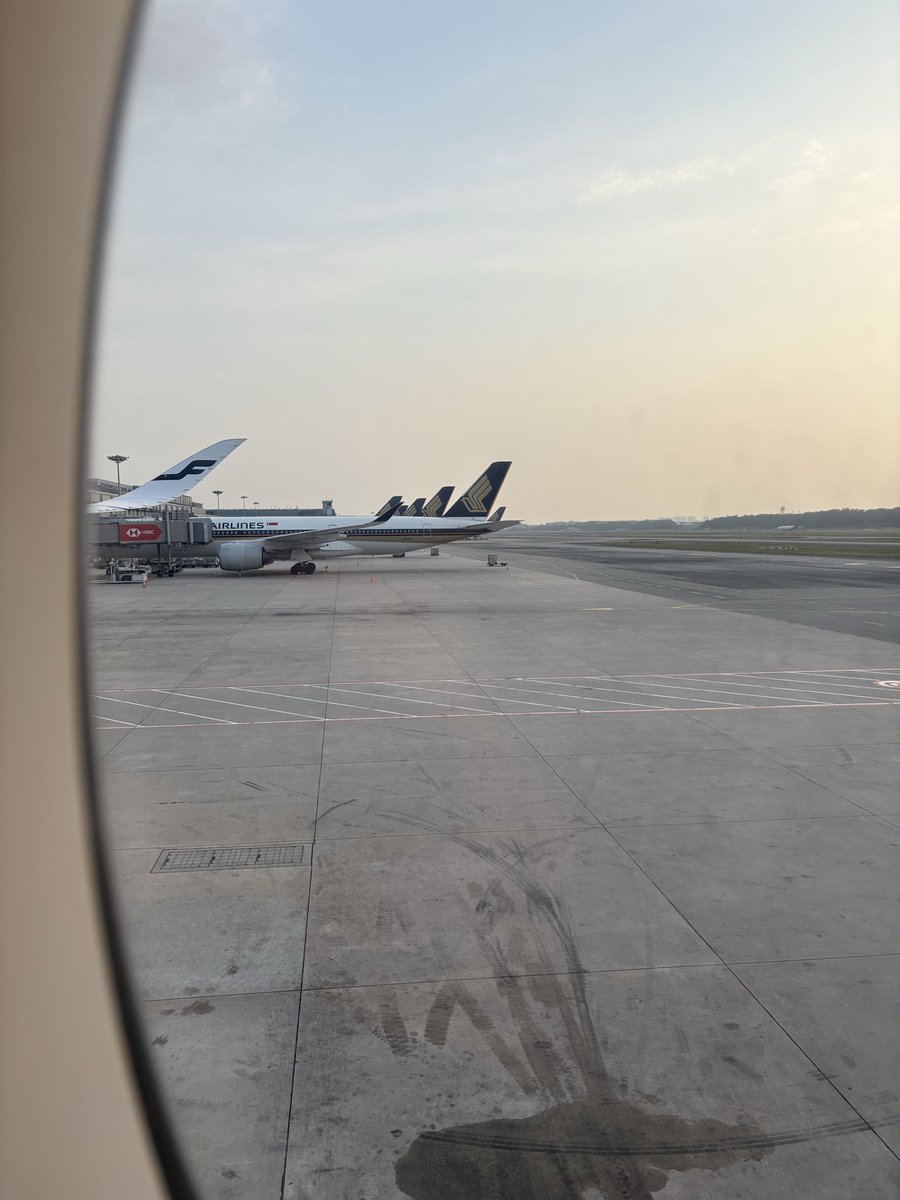rosa_singlobal's tweet photo. ヘイズがひどそう😮‍💨
ただいまシンガポール🥹🥹🥹

久しぶりのひとり旅、スリに遭わず無事に帰って来れてよかった😮‍💨
パスポートも無事でクレカも何も問題が起きなくて本当によかった🥺 https://t.co/pKb8bvobxo