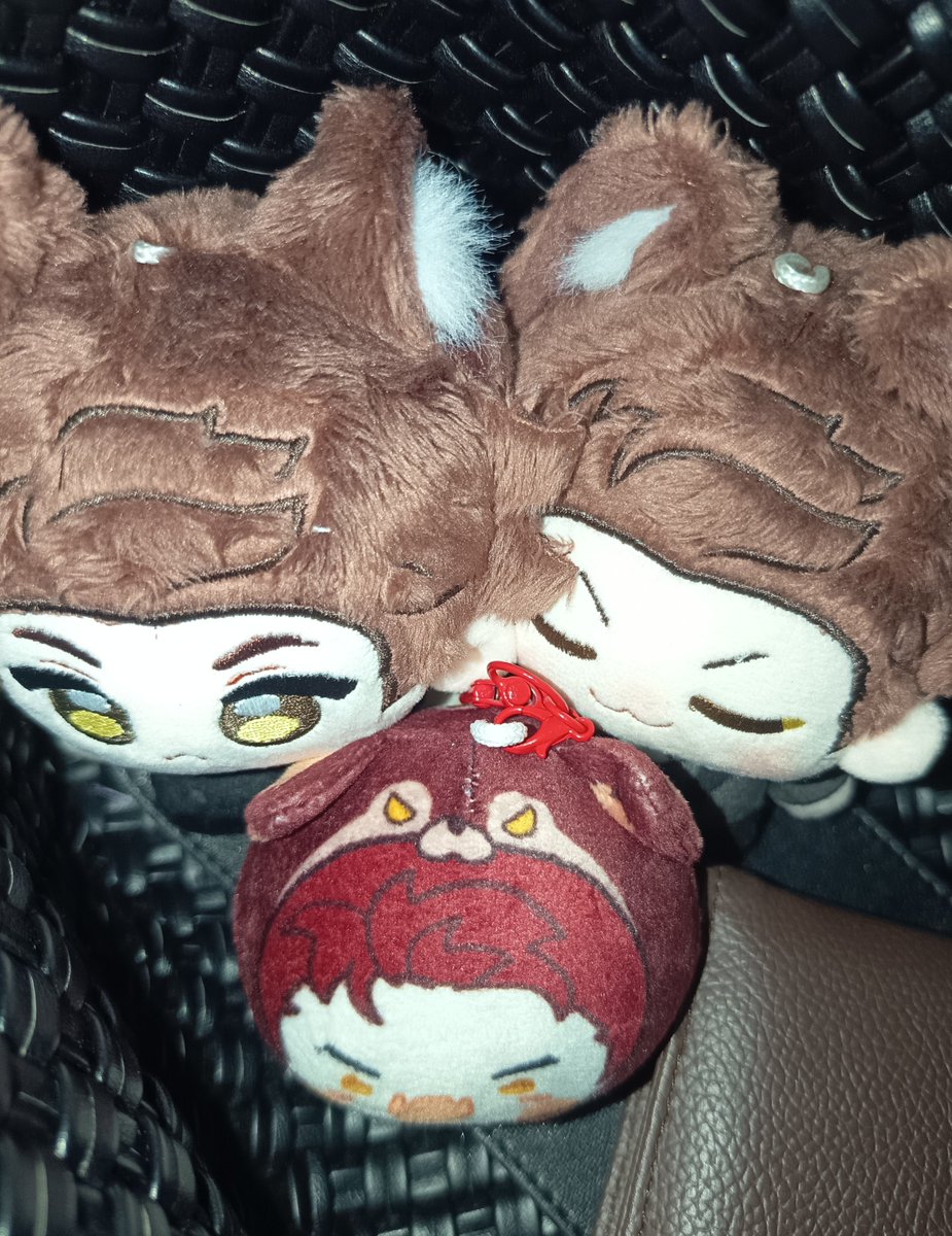 Aoyinnie's tweet photo. Babies snuck into my bag. https://t.co/Otm8vdMwLc