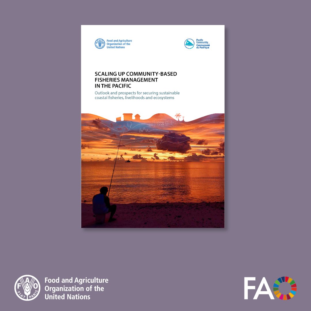 FAOKnowledge's tweet photo. Local communities are at the heart of sustainable coastal fisheries in the Pacific.

Explore this new @FAO publication on progress, challenges and opportunities for scaling up community-based fisheries management across the Pacific Islands 👉 https://t.co/N8D1rXvGNn https://t.co/LIBd289m0b