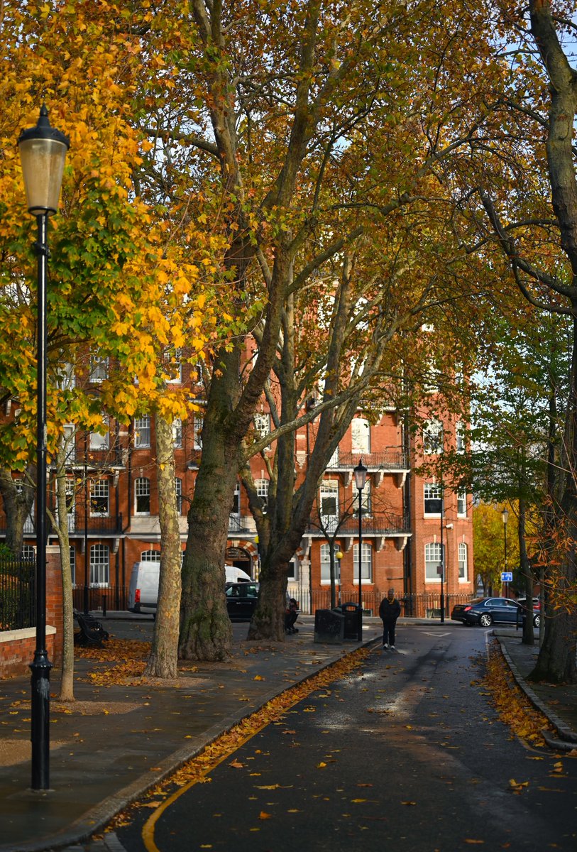 flower6260's tweet photo. rainy autumn day in london https://t.co/09dglzh8QP
