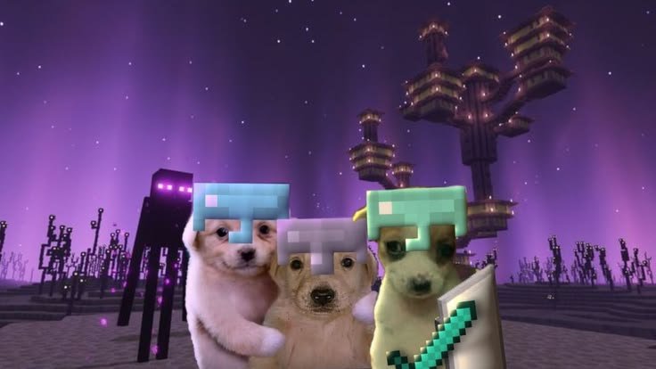 4rtin_'s tweet photo. Va tocando server de Minecraft con los colegas https://t.co/cxOTKUkqah