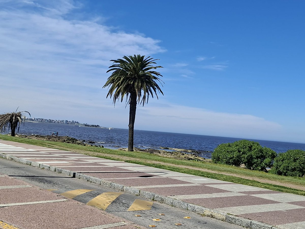 Leoherou's tweet photo. Postales de Montevideo 💙
Nuestra costa, nuestro río, nuestro paisaje.
Una ciudad espectacular para disfrutar y cuidar. https://t.co/sg1Y7kBofe