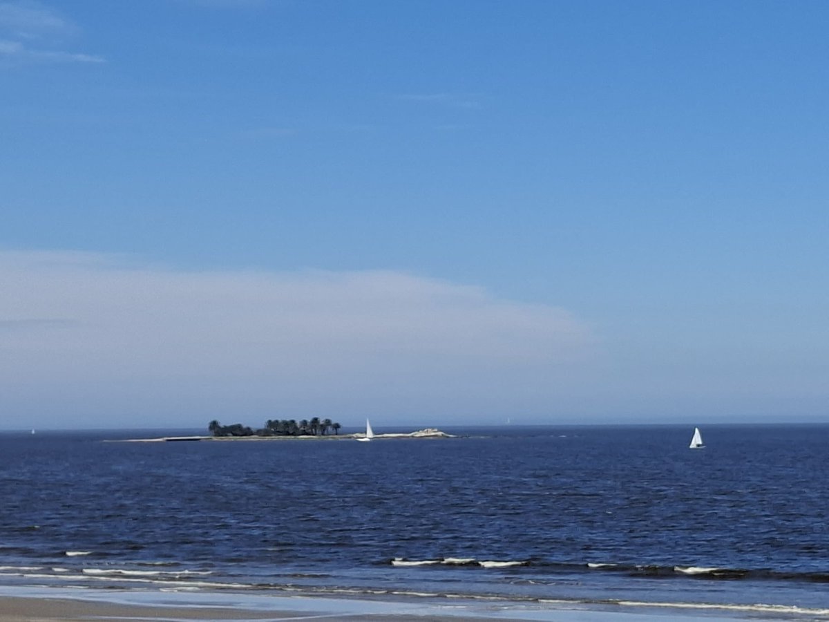 Leoherou's tweet photo. Postales de Montevideo 💙
Nuestra costa, nuestro río, nuestro paisaje.
Una ciudad espectacular para disfrutar y cuidar. https://t.co/sg1Y7kBofe