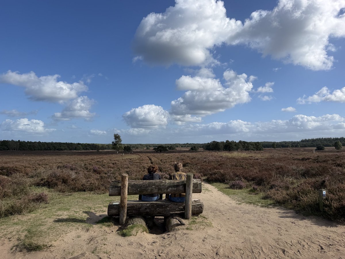 erica_v_leeuwen's tweet photo. Afwisseling van zon en wolken vanmiddag op onze wandeling over de heide in #Ermelo ☀️☁️🌳 
@weermanrobert @Alpenweerman  @HartvNL @EdAldus @BuienRadarNL  @helgavanleur @weerenradar_nl   @OmroepGLD  @gemharderwijk @SevereweatherNL @pictureofNL #heide https://t.co/NdRehmuneF