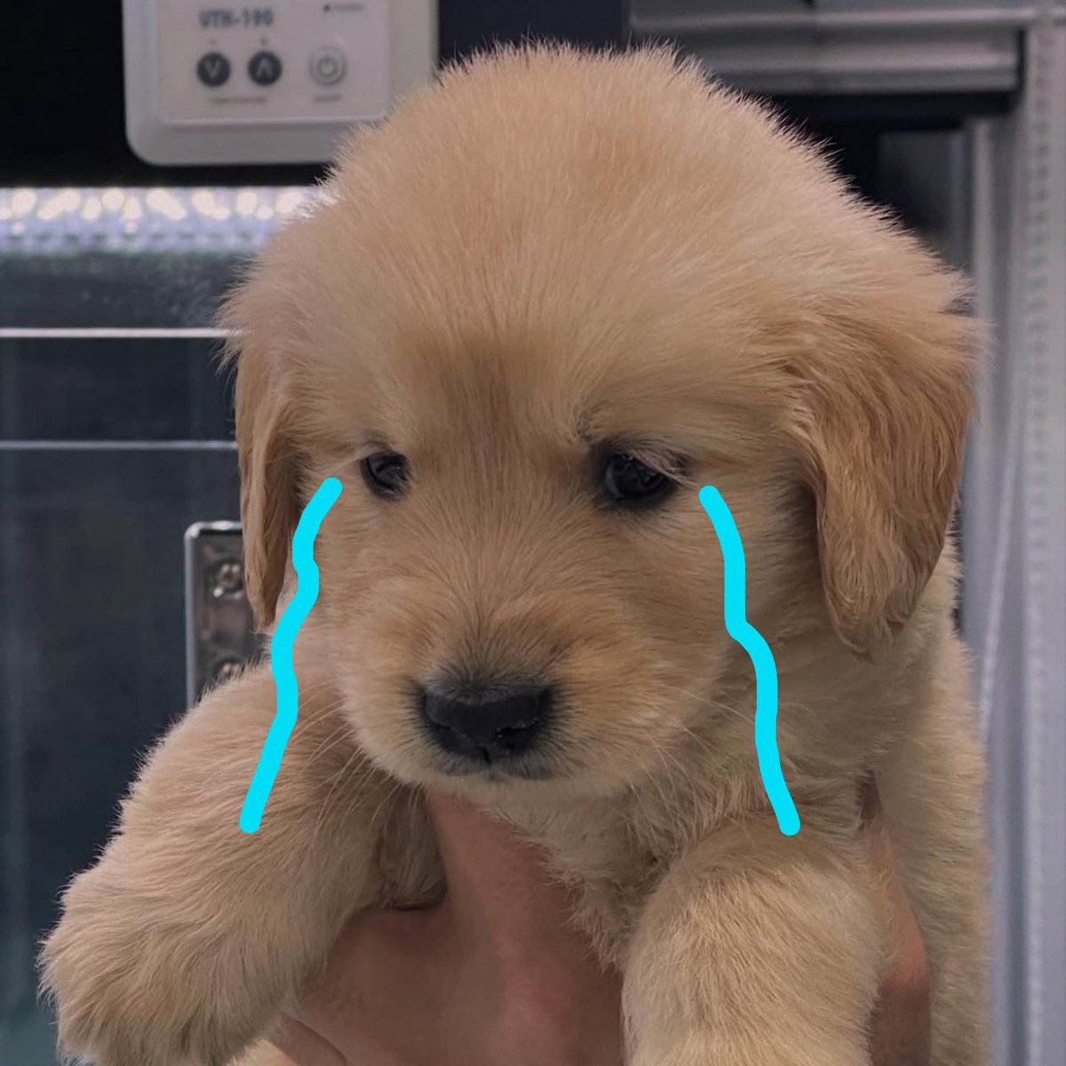 takemybear's tweet photo. ปากดี                                                     ทำอะไร
ขี้เหงา                                                    ไม่ดีสักอย่าง
เอาแต่ใจ https://t.co/18xMnd8sCp