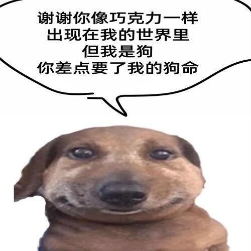 nimab_'s tweet photo. https://t.co/uRgDNdGgja