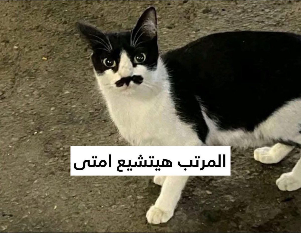 ahmedfml's tweet photo. المهم https://t.co/JaxRboo0gT