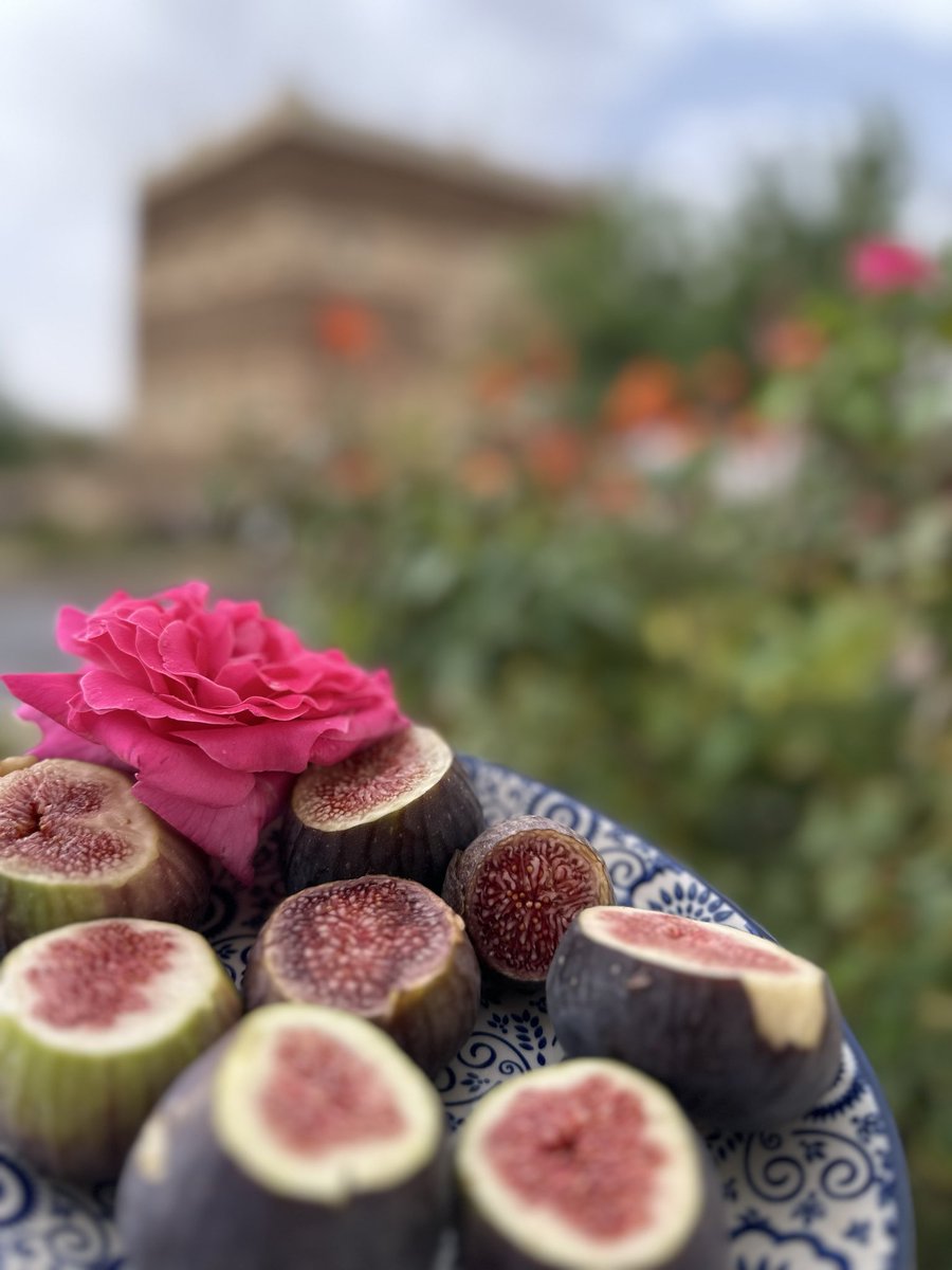 MaymonahSq86's tweet photo. أفتقدك بدون كتابة الكثير بدون أي نص عميق بدون كلمات أدبية مبتذلة أفتقدك فقط ،✨" https://t.co/ERtDDw5Gua