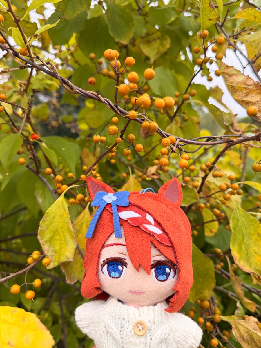 tanukimo_imo's tweet photo. let’s admire nature together 🫶 https://t.co/FjFtvDj7rc