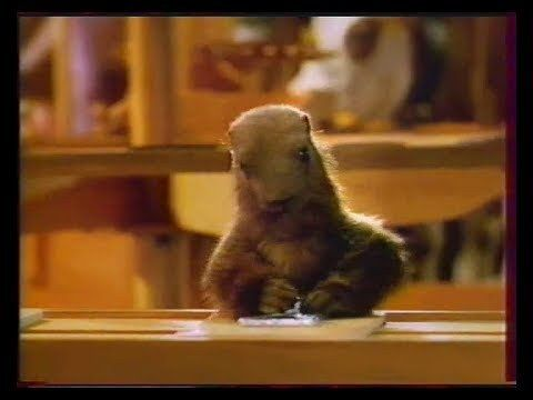 BleM_eth's tweet photo. @IA_Clash Askip il avait aussi fait un robot-marmotte qui mettait le chocolat dans le papier alu.

Mais ça n'est qu'une simple rumeur ! https://t.co/P7Ae3wpKai