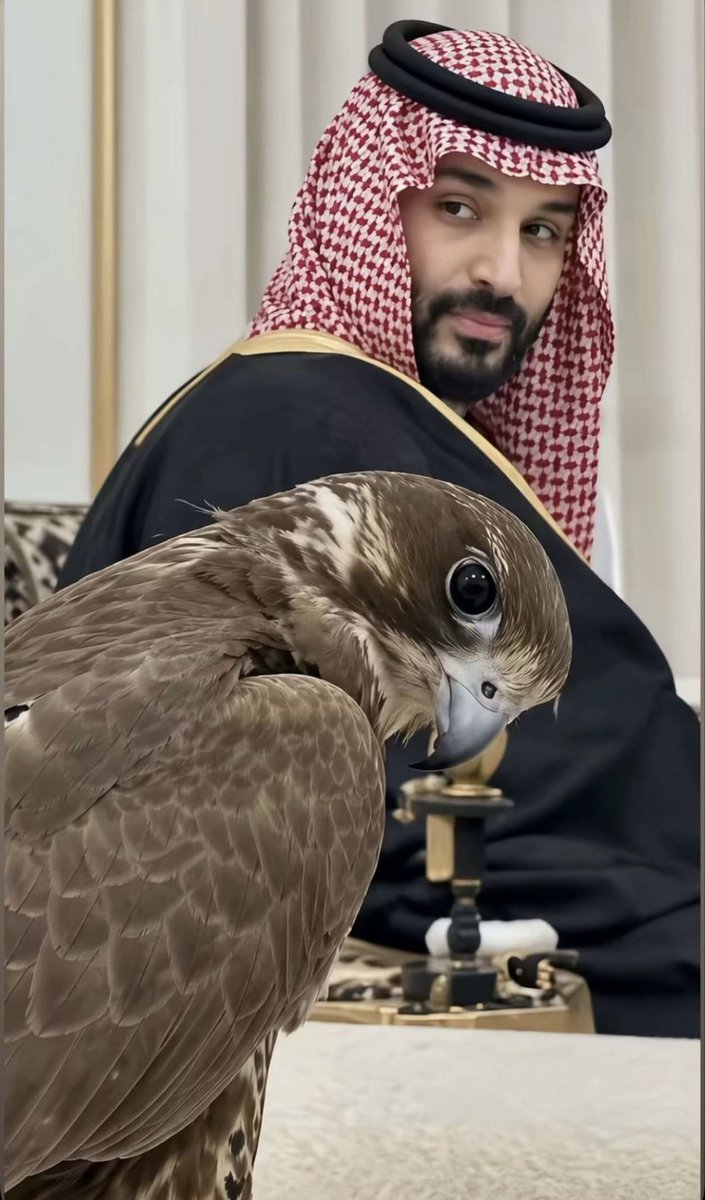 Princess114m's tweet photo. اللهم كن له عوناً ونصيراً، ومكّنه في الأرض تمكين الصالحين، وافتح له فتحاً مبيناً

اللهم وفق ولي عهدنا الأمير محمد بن سلمان لما تحب وترضى، واجعل كل خطوة من خطواته نجاحاً وفلاحاً للبلاد والعباد♥️🤍 https://t.co/FF3x95azyN