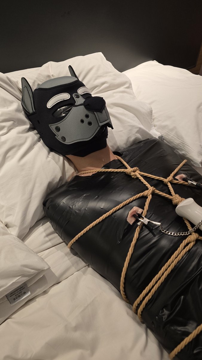 domsumking's tweet photo. Here are the steps on how to tame a wild pup😁

Dom: @domsumking 
Co-dom: @DomVicEdges https://t.co/EiXStnGT0e